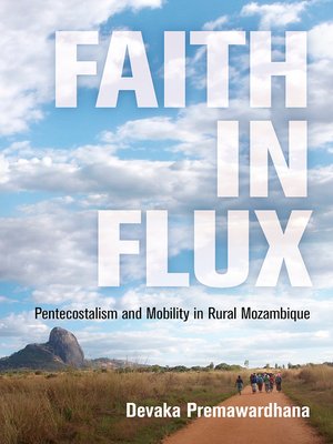 cover image of Faith in Flux